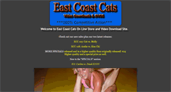 Desktop Screenshot of eccvds.com